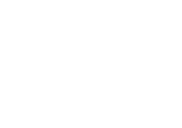 Dogness – Hundeservices Berner Oberland